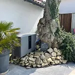 Vila Le Clos Des Figuiers Pool And Jacuzzi *
